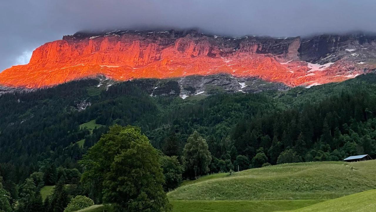 Ferienwohnung Im Gruenen Grindelwald Eksteriør bilde
