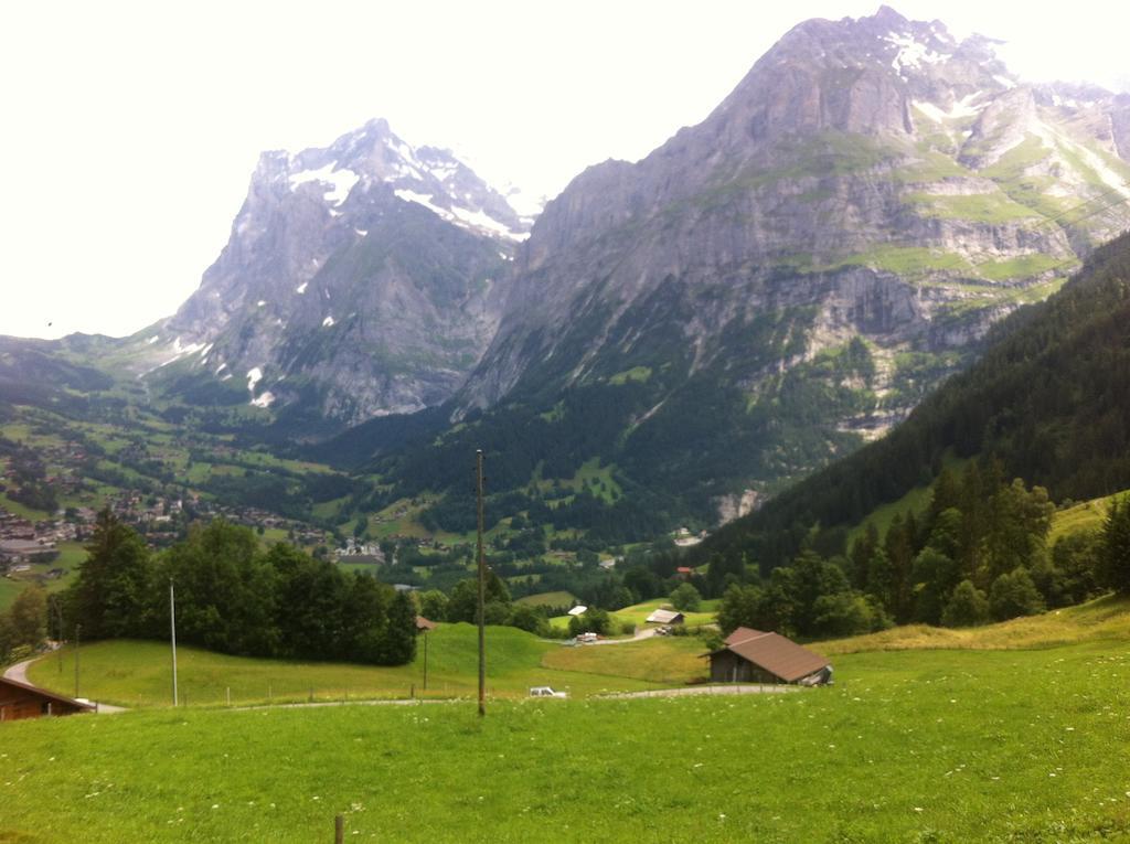 Ferienwohnung Im Gruenen Grindelwald Rom bilde