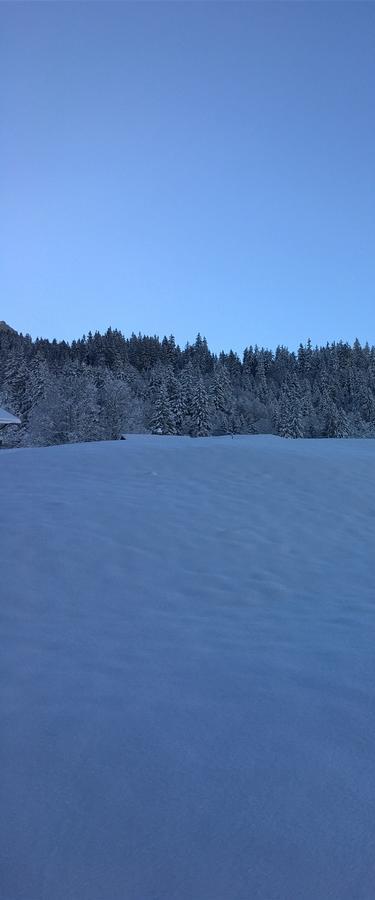 Ferienwohnung Im Gruenen Grindelwald Eksteriør bilde