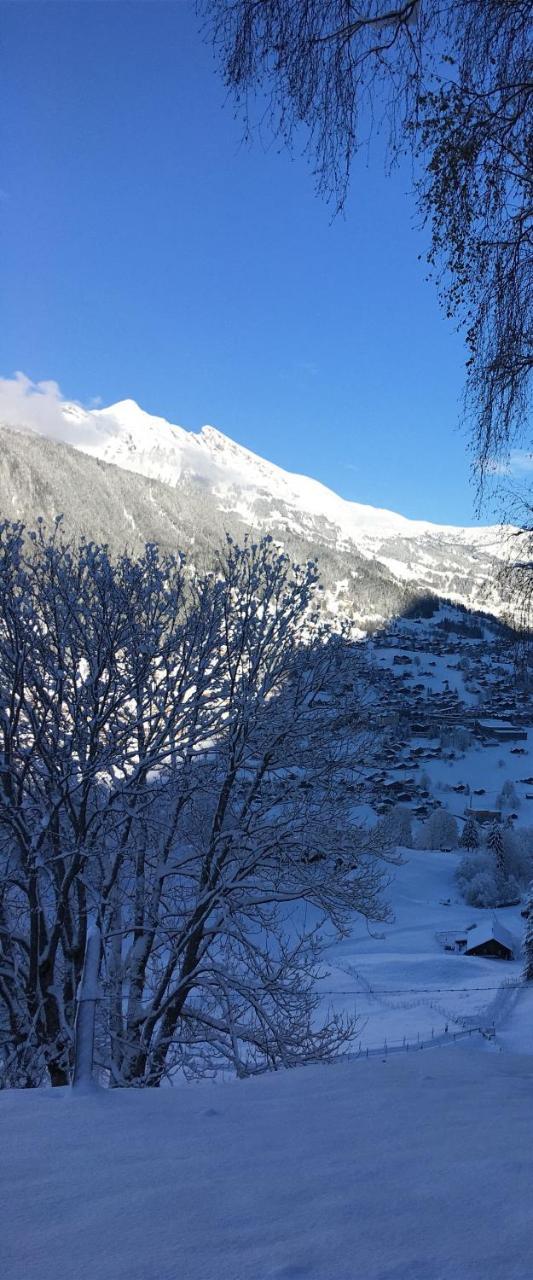 Ferienwohnung Im Gruenen Grindelwald Eksteriør bilde