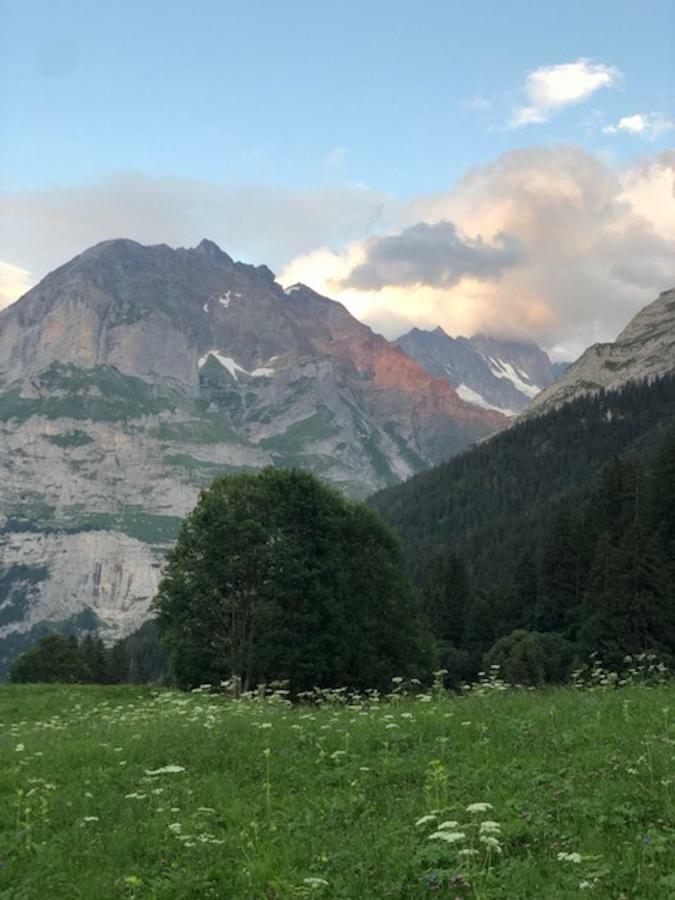 Ferienwohnung Im Gruenen Grindelwald Eksteriør bilde